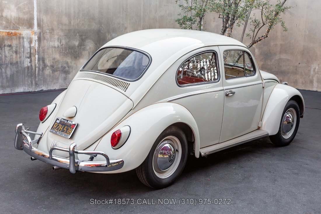 Volkswagen Beetle in Los Angeles, CA 5 - 15469373