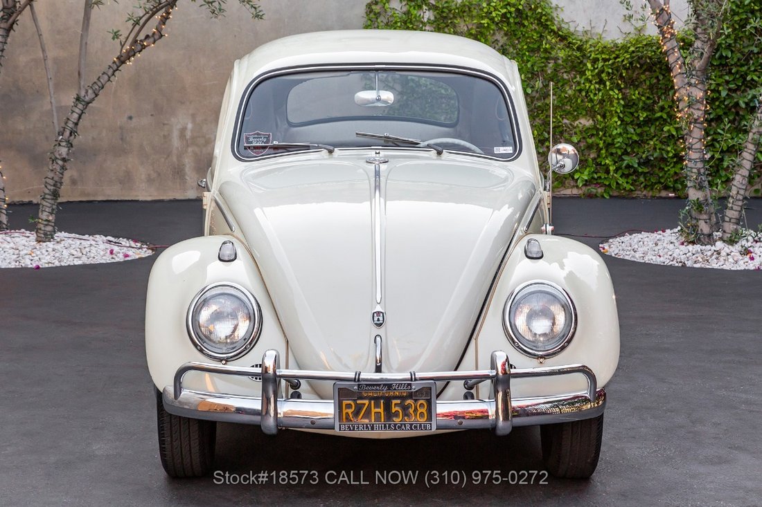 Volkswagen Beetle in Los Angeles, CA 2 - 15469373