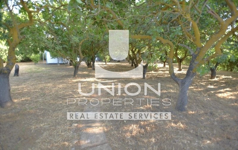 Land in North Athens, Attica, Greece 5 - 15468557