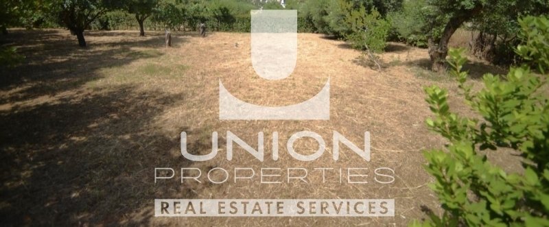 Land in North Athens, Attica, Greece 2 - 15468557