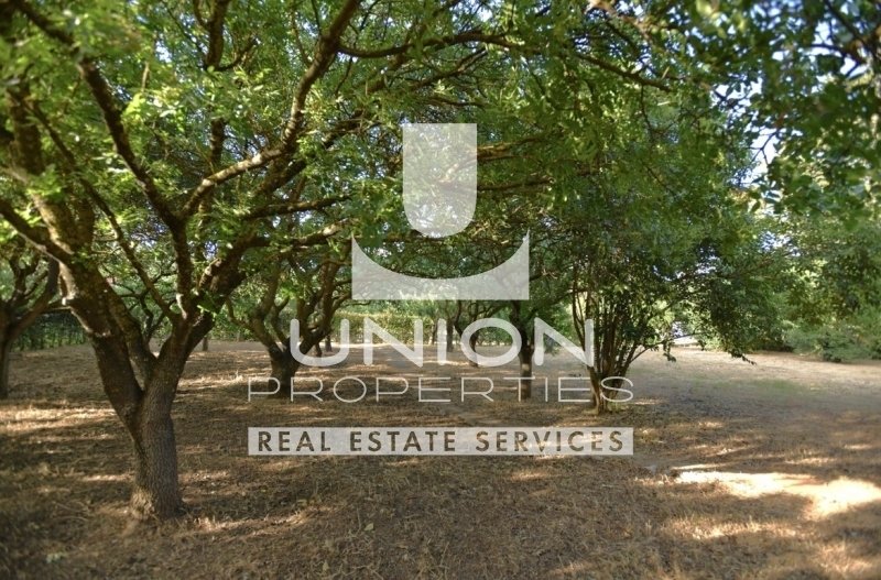 Land in North Athens, Attica, Greece 4 - 15468557
