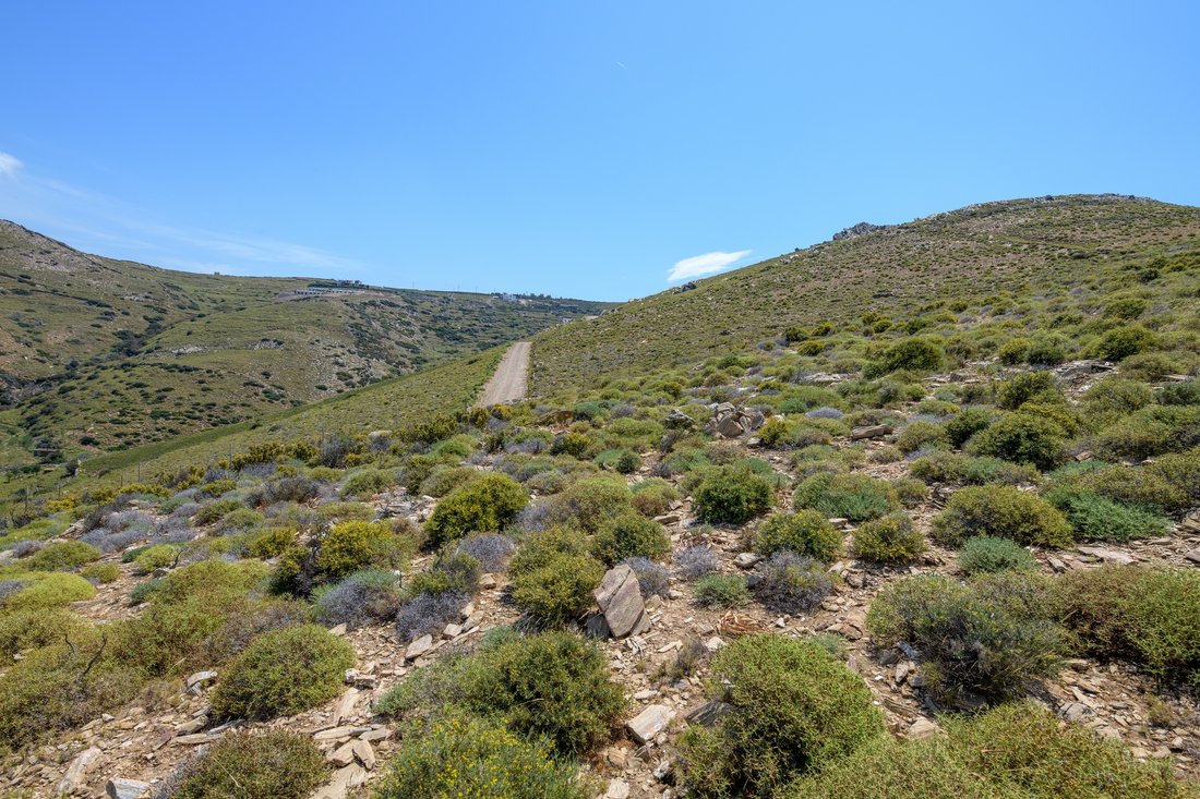 Land in Andros, Aegean, Griechenland 3 - 15473995