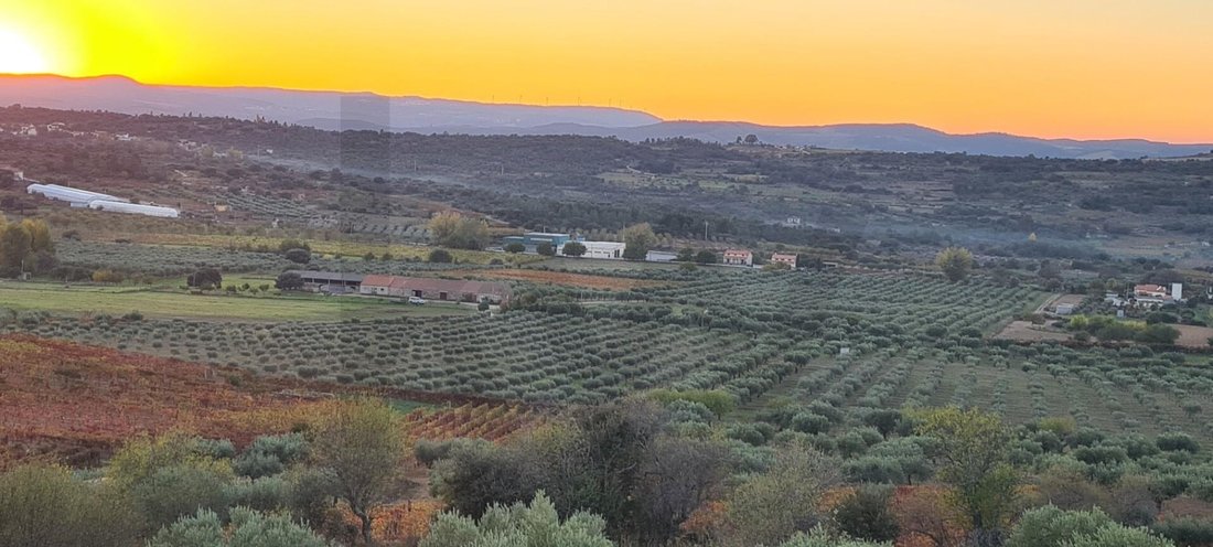 Land in Vila Nova de Foz Coa, Guarda District, Portugal 5 - 15476224