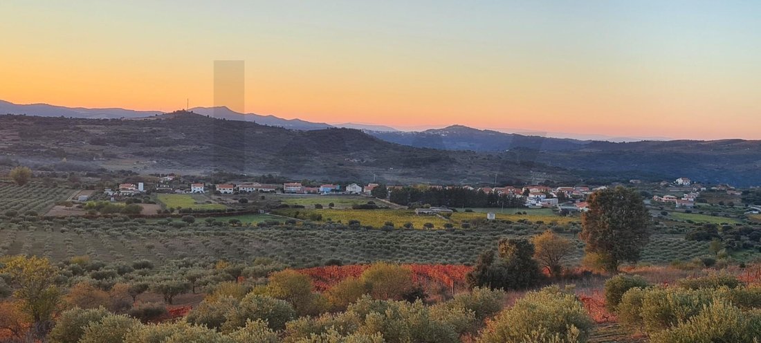 Land in Vila Nova de Foz Coa, Guarda District, Portugal 2 - 15476224