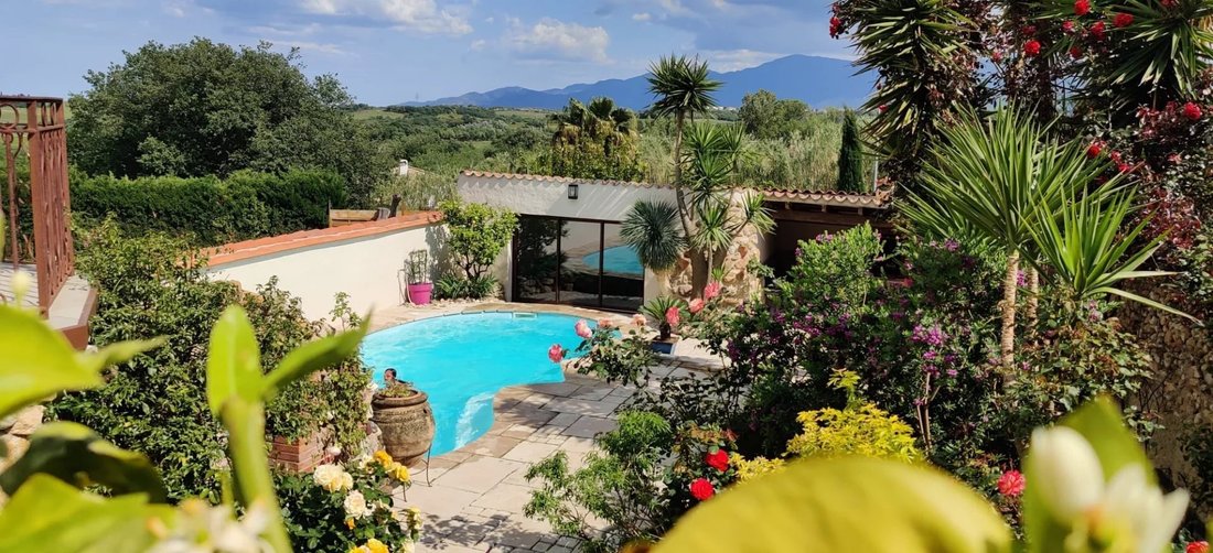 House in Passa, Occitania, France 5 - 15474553