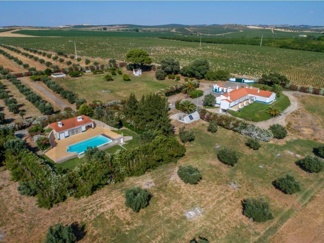 Farm Ranch in Ferreira do Alentejo e Canhestros, Beja District, Portugal 1 - 15476058
