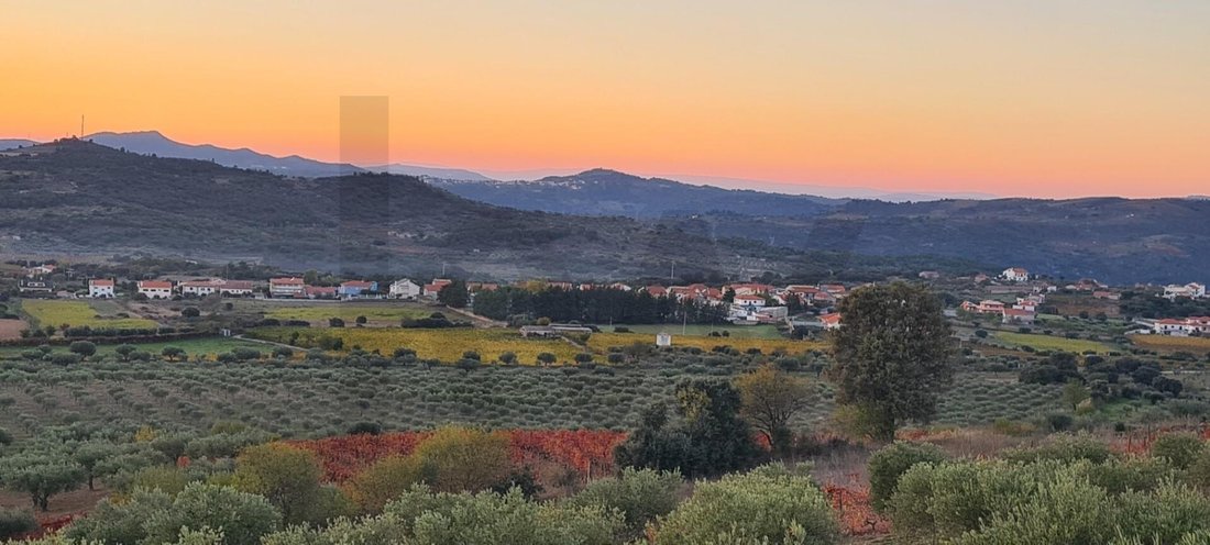 Land in Vila Nova de Foz Coa, Guarda District, Portugal 4 - 15476224