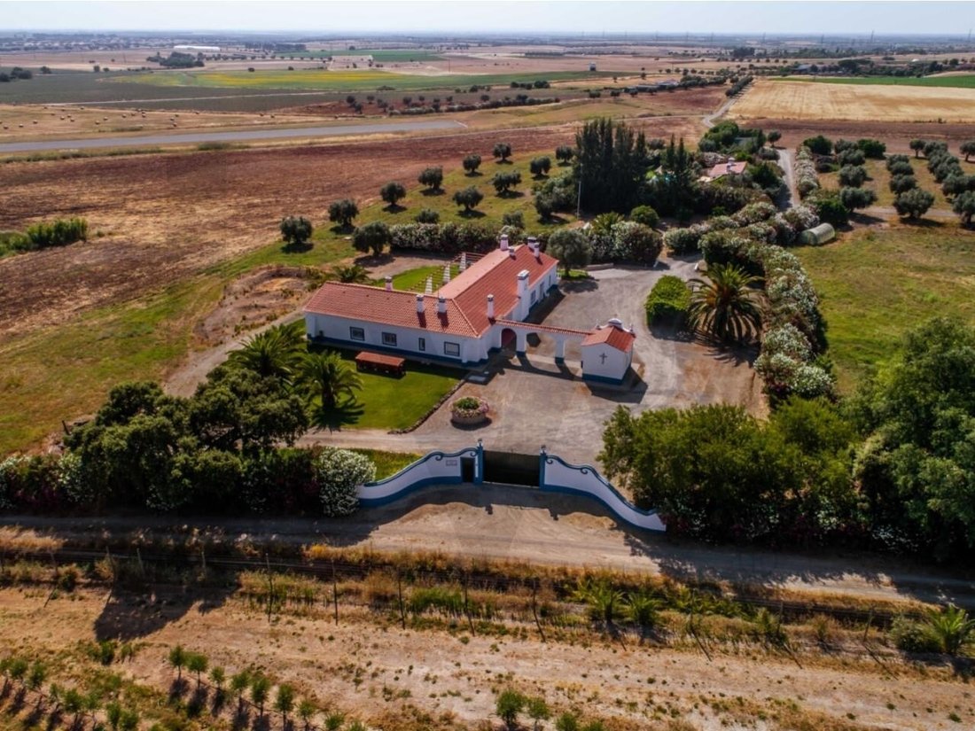 Farm Ranch in Ferreira do Alentejo e Canhestros, Beja District, Portugal 2 - 15476058