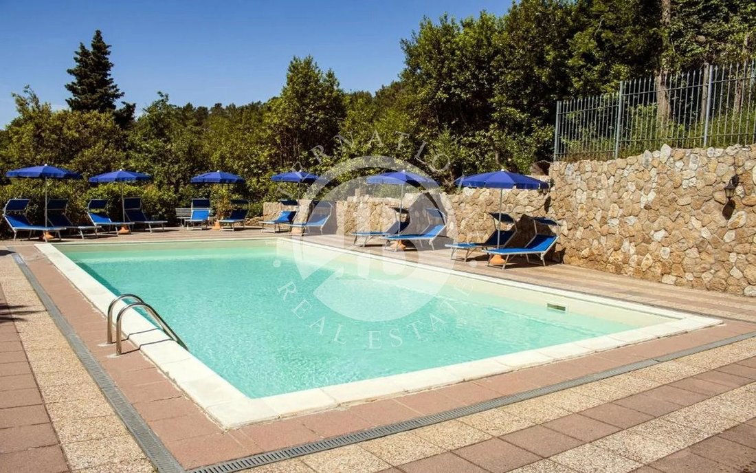 Villa in Riparbella, Tuscany, Italy 2 - 15474420
