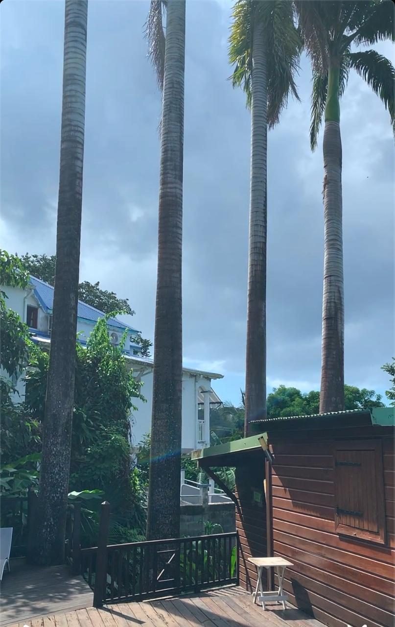 Villa in Deshaies, Basse-Terre, Guadeloupe 3 - 15480737