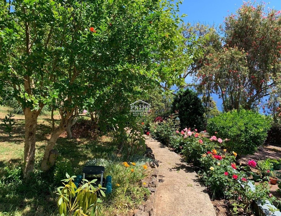 Villa in Gaula, Autonome Region Madeira, Portugal 4 - 15475979