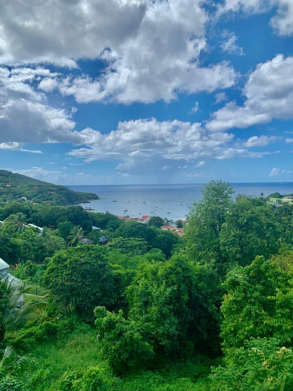 Villa in Deshaies, Basse-Terre, Guadeloupe 5 - 15480737