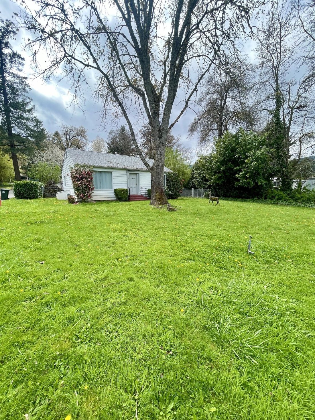 House in Grants Pass, Oregon, United States 2 - 15466903