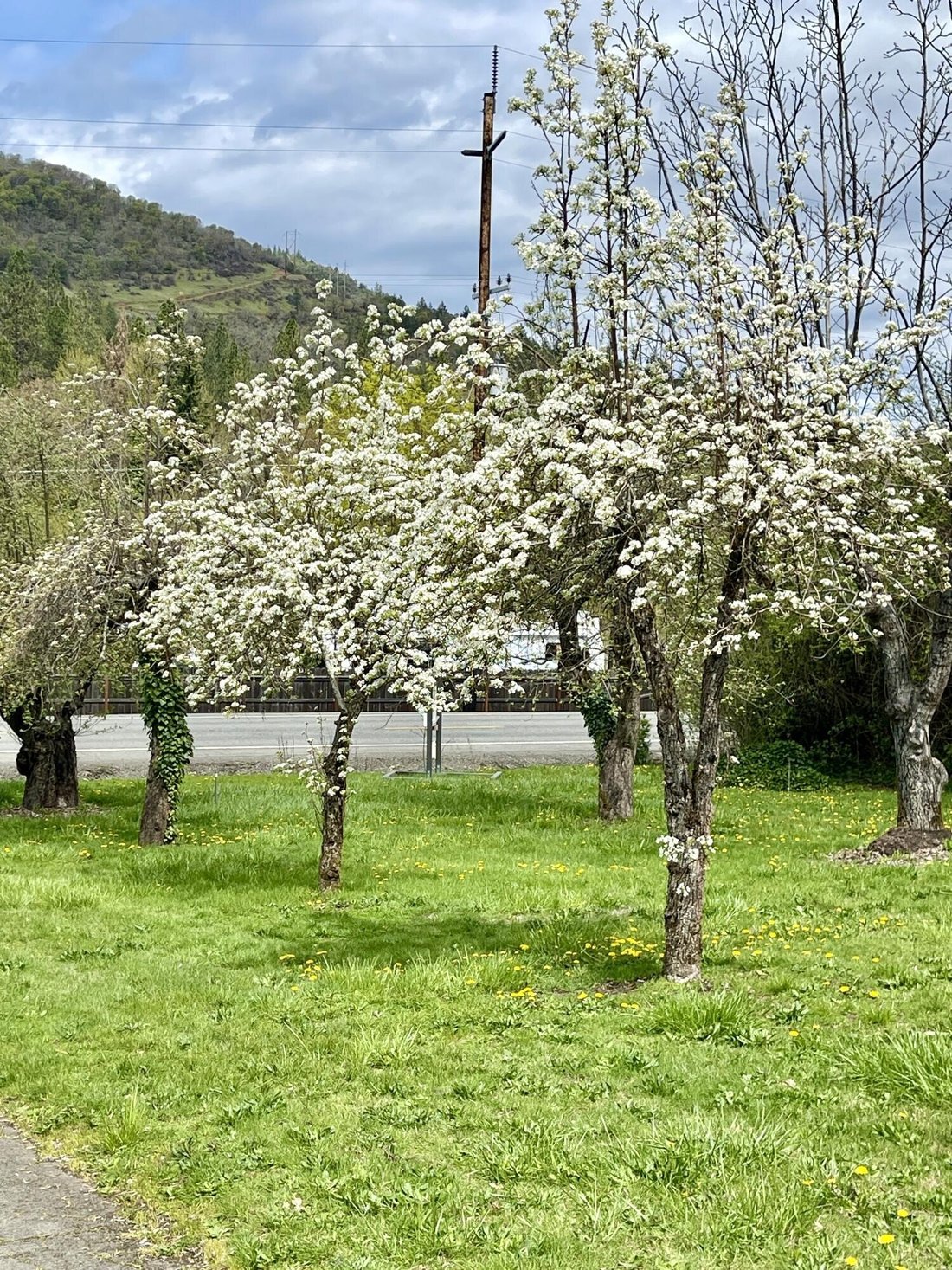 House in Grants Pass, Oregon, United States 4 - 15466903