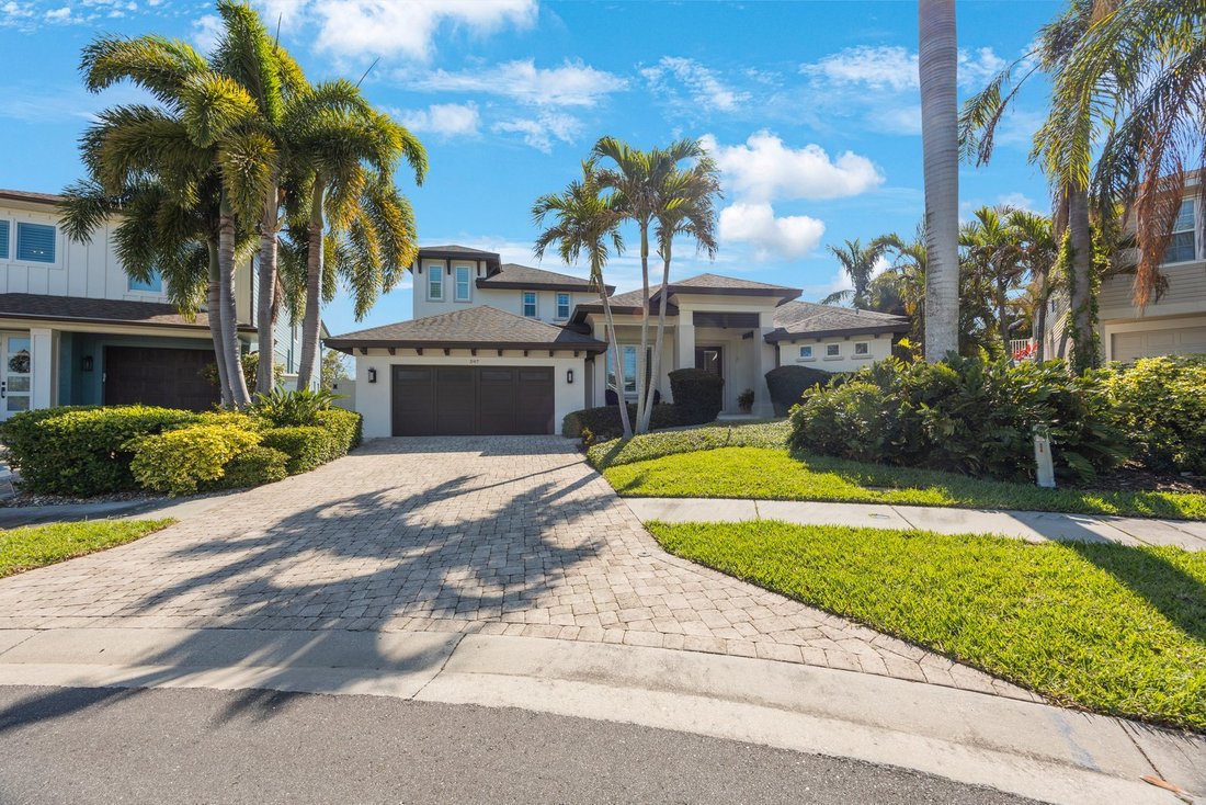 House in Palm Harbor, Florida, United States 1 - 15477224