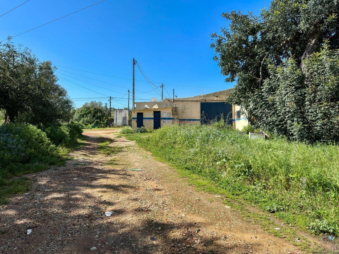 Farm Ranch in Algoz e Tunes, Algarve, Portugal 4 - 13032497