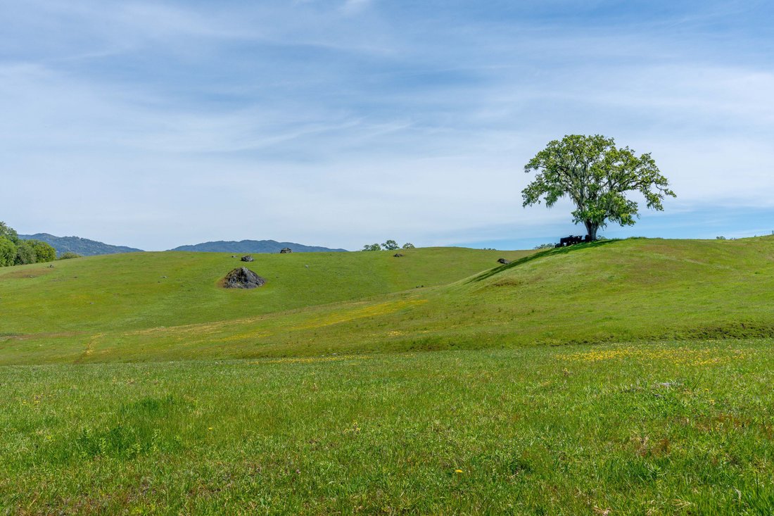 House in Hopland, California, United States 5 - 15484269