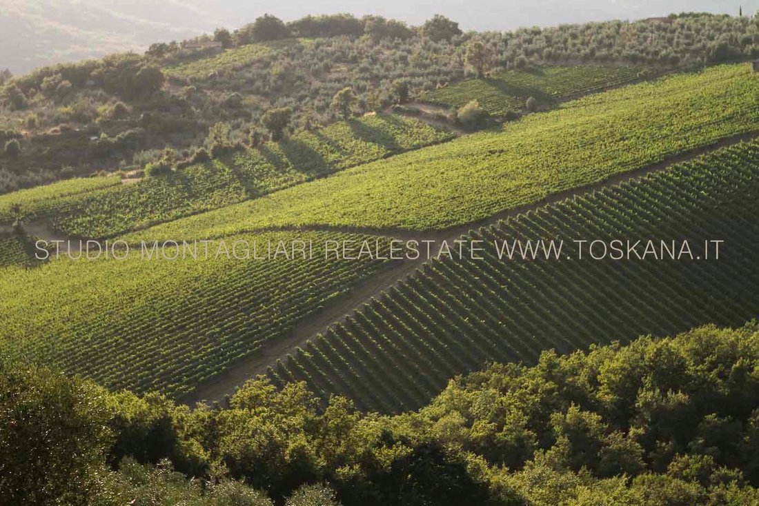 Farm Ranch in Gaiole in Chianti, Tuscany, Italy 3 - 15484385