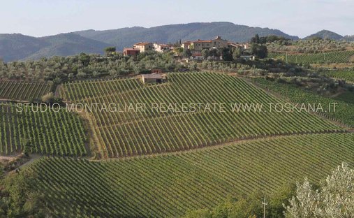 Azienda agricola a Gaiole in Chianti, Toscana, Italia 1