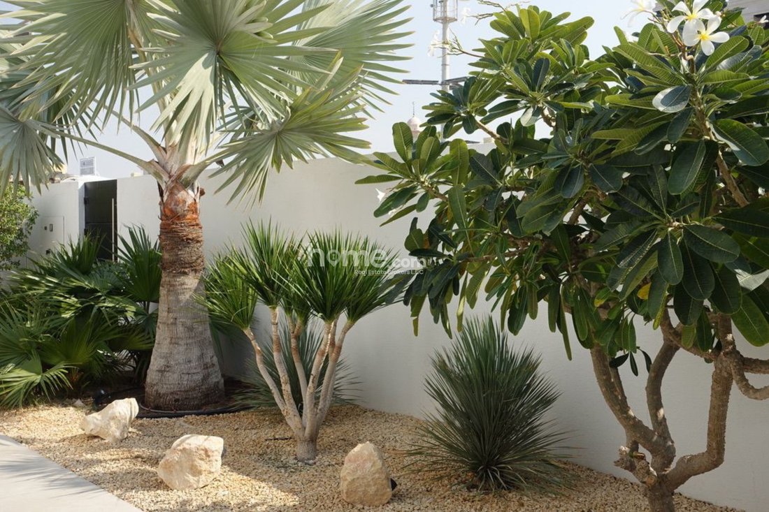 Villa in Dubai, Dubai, United Arab Emirates 4 - 15484320