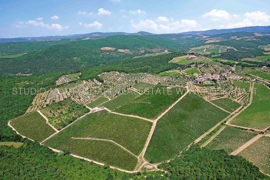 Farm Ranch in Gaiole in Chianti, Tuscany, Italy 4 - 15484385
