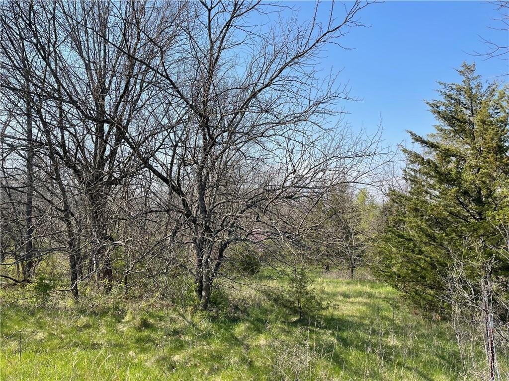 Farm Ranch in Lake Annette, Missouri, United States 2 - 15486407