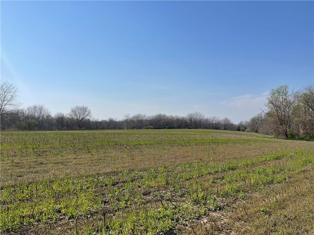 Farm Ranch in Lake Annette, Missouri, United States 5 - 15486407