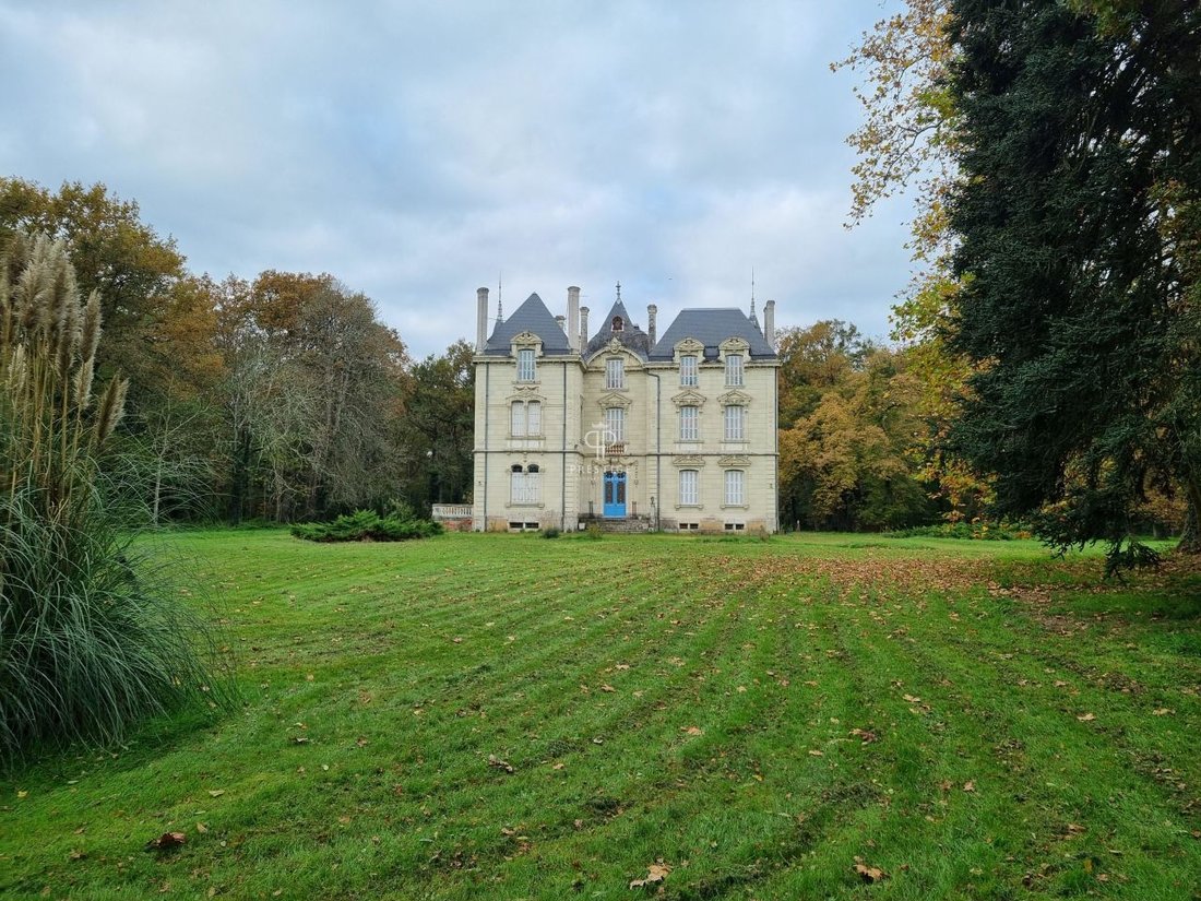 Château des Lumières: A 19th-Century Noble Jewel in Anjou’s Golden Countryside