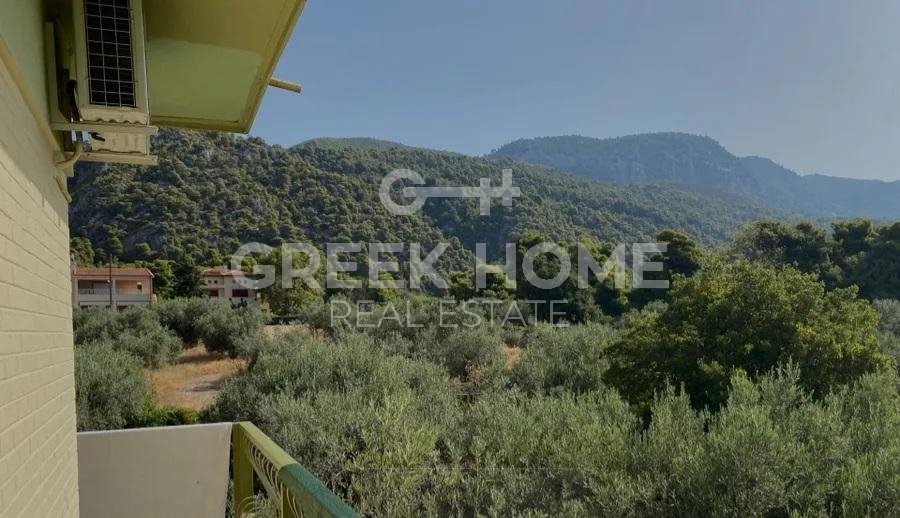 House in Istiaia-Aidipsos, Thessaly and Central Greece, Greece 2 - 15486345