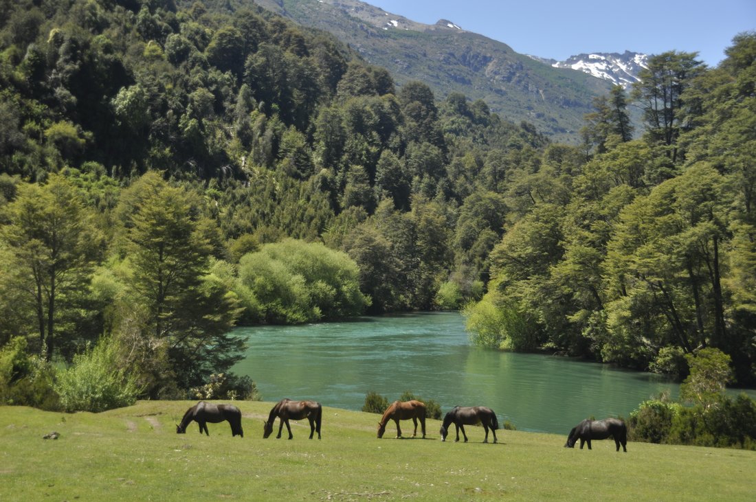 Land in Paso El León, Los Lagos, Chile 1 - 15485373
