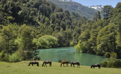 Land in Paso El León, Los Lagos, Chile 1