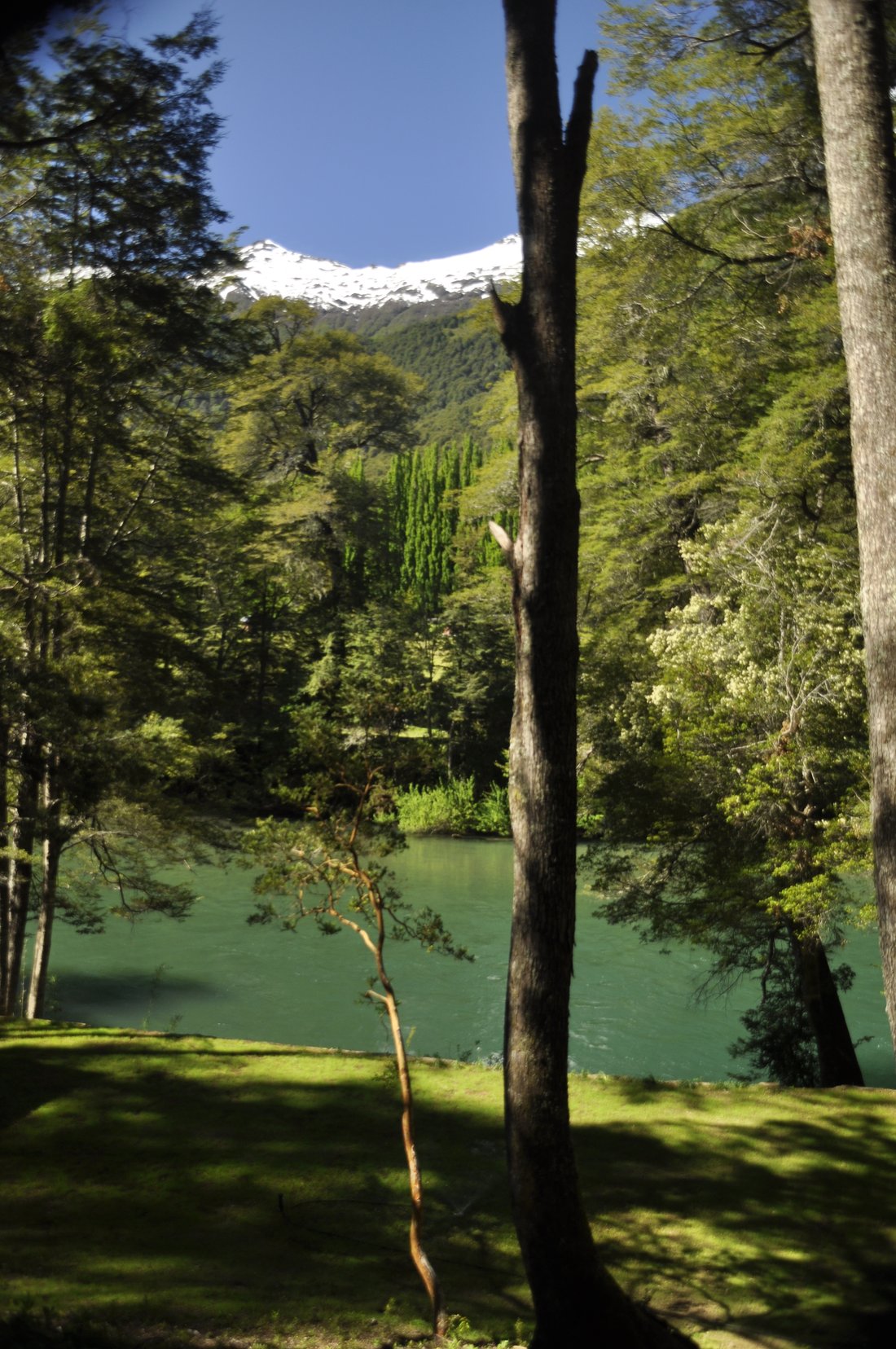 Land in Paso El León, Los Lagos, Chile 4 - 15485373