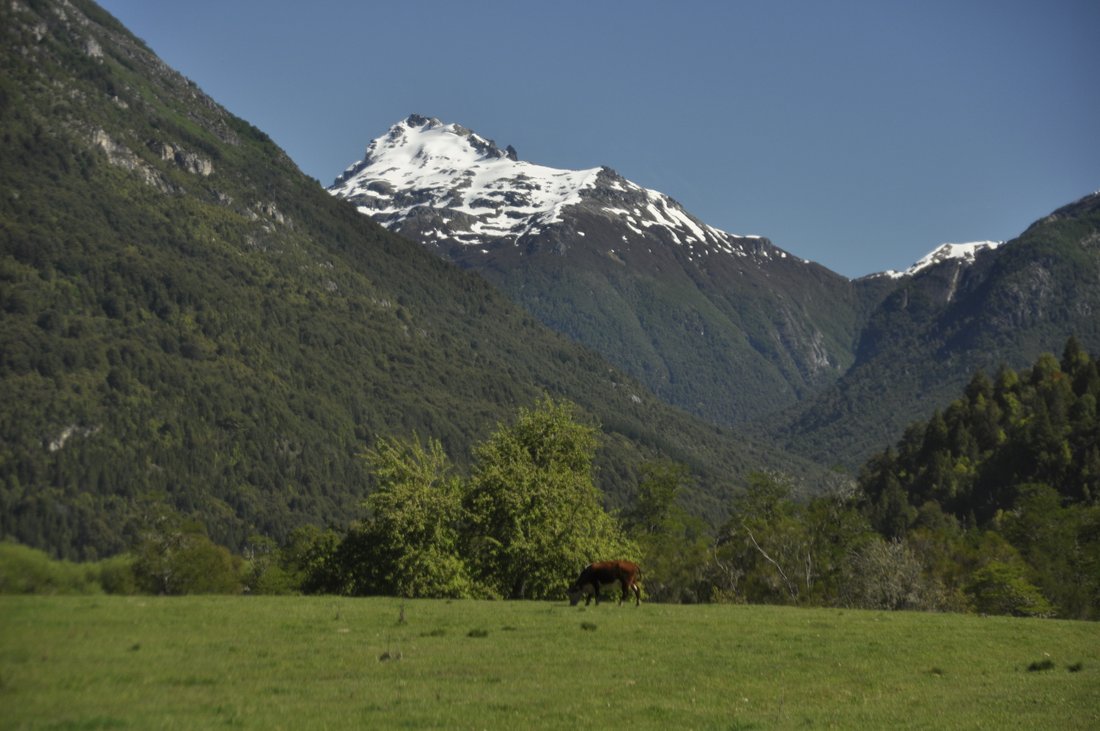 Land in Paso El León, Los Lagos, Chile 3 - 15485373