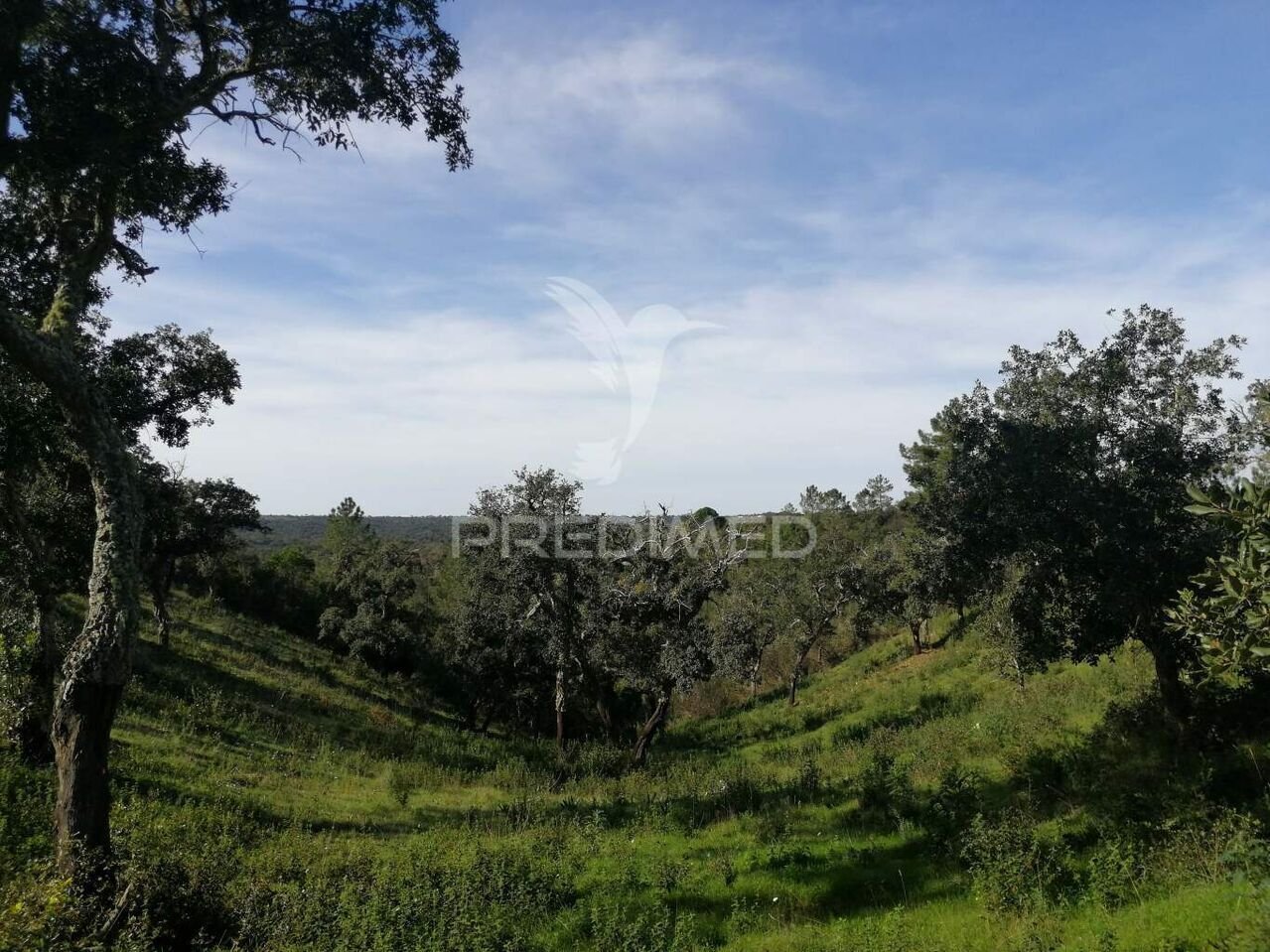 Land for sale in Grândola, Portugal — €185,000