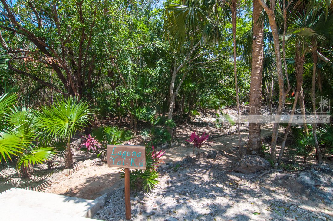 House in Akumal, Quintana Roo, Mexico 2 - 15431242