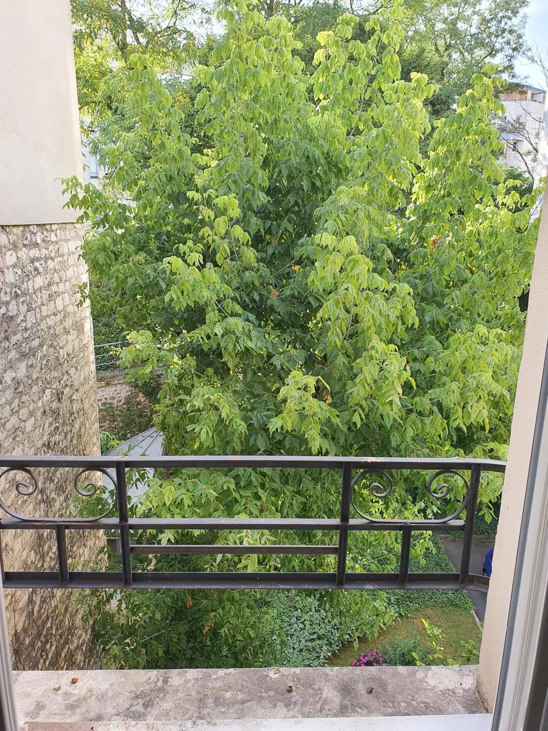 Bois de Vincennes, Paris 12e Arrondissement, Paris 4 - 12204870