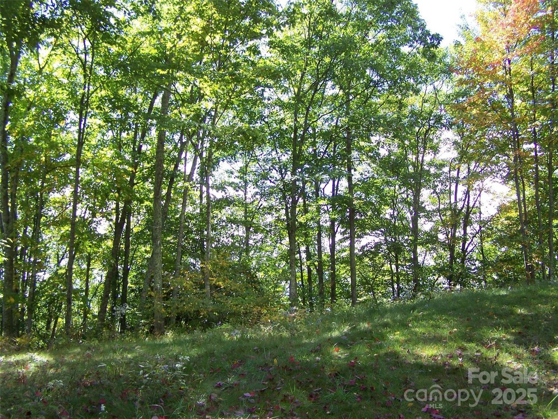 Land in Maggie Valley, North Carolina, United States 2 - 15092708