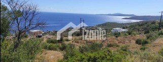 Land in Gaitaniou, Peloponnese, Western Greece and the Ionian, Greece 3 - 15490892