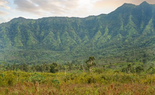 Land in Kilauea, Hawaii, United States 1