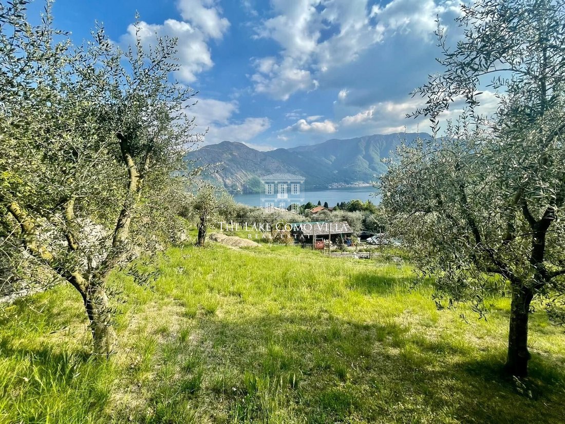 Terrain à Tremezzo, Lombardie, Italie 4 - 15489349