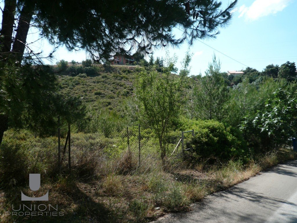 Land in Penteli, Attica, Greece 4 - 15489199
