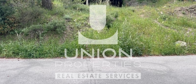 Land in Penteli, Attica, Greece 2 - 15489204