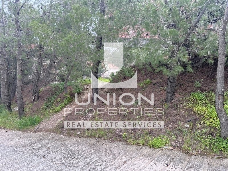 Land in Penteli, Attica, Greece 4 - 15489204