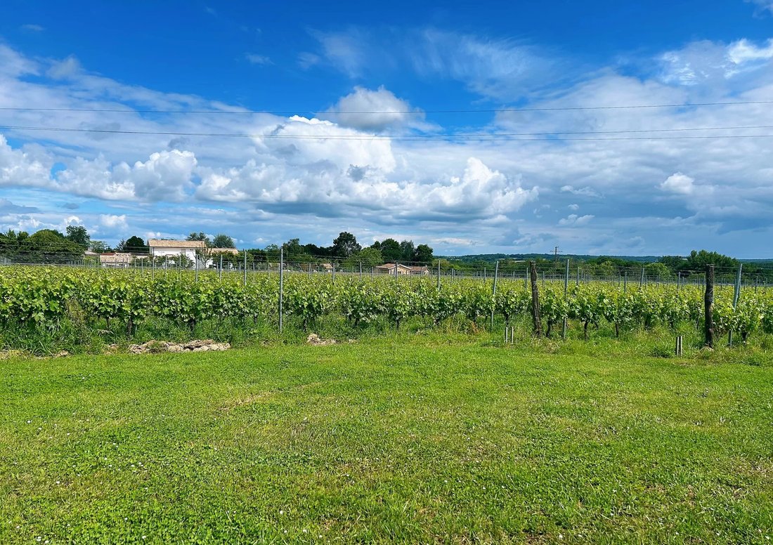 Farm Ranch in Grand Parc-Chartrons-Paul Doumer, Bordeaux, France 1 - 15061621