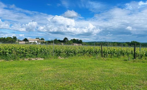 Farm Ranch in Grand Parc-Chartrons-Paul Doumer, Bordeaux, France 1
