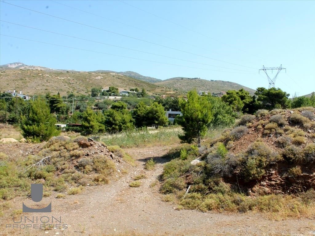 Land in Penteli, Attica, Greece 4 - 15489191