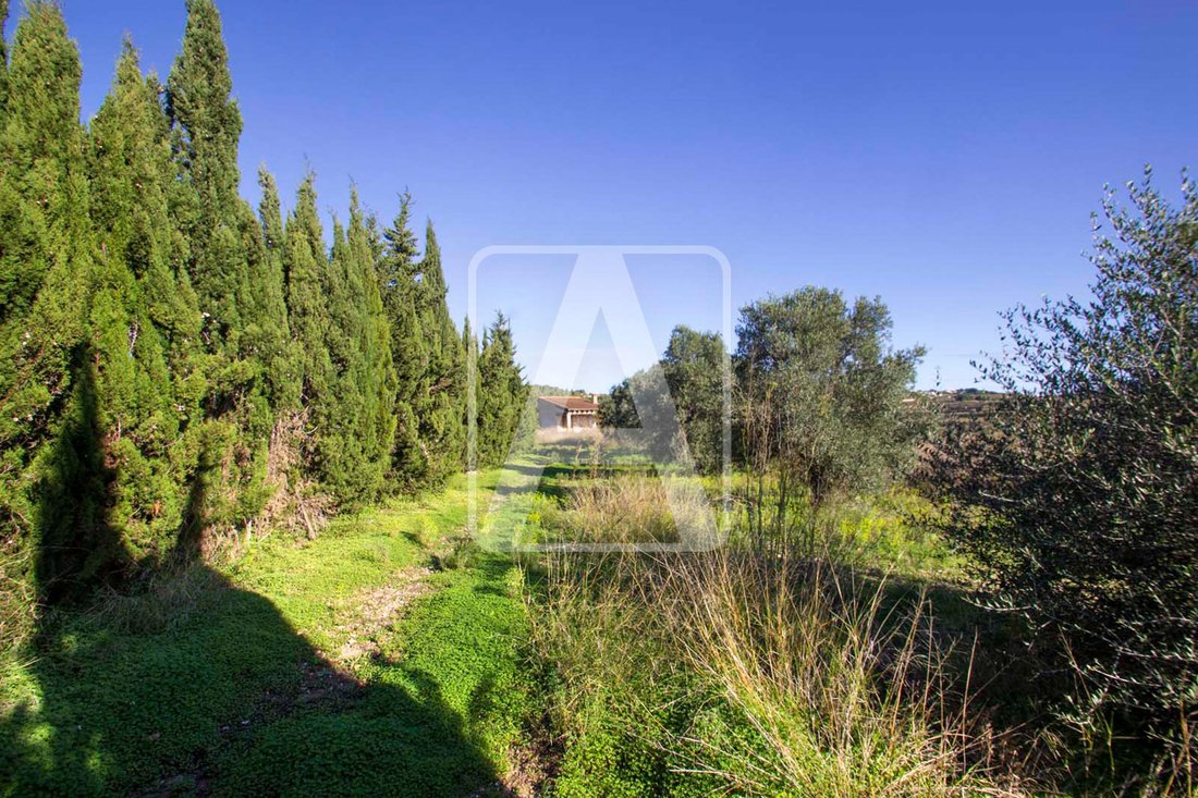 Finca in Moraira, Teulada, Valencian Community 5 - 11587656