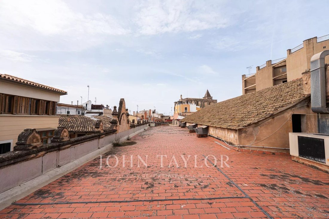 Palma, Balearic Islands, Spain 3 - 15496193