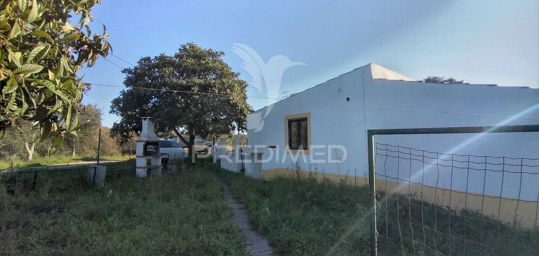 Farm Ranch in Santa Cruz, Setúbal, Portugal 2 - 15496459