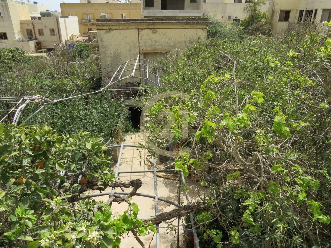 Villa in Ħad-Dingli, Malta 4 - 14312660